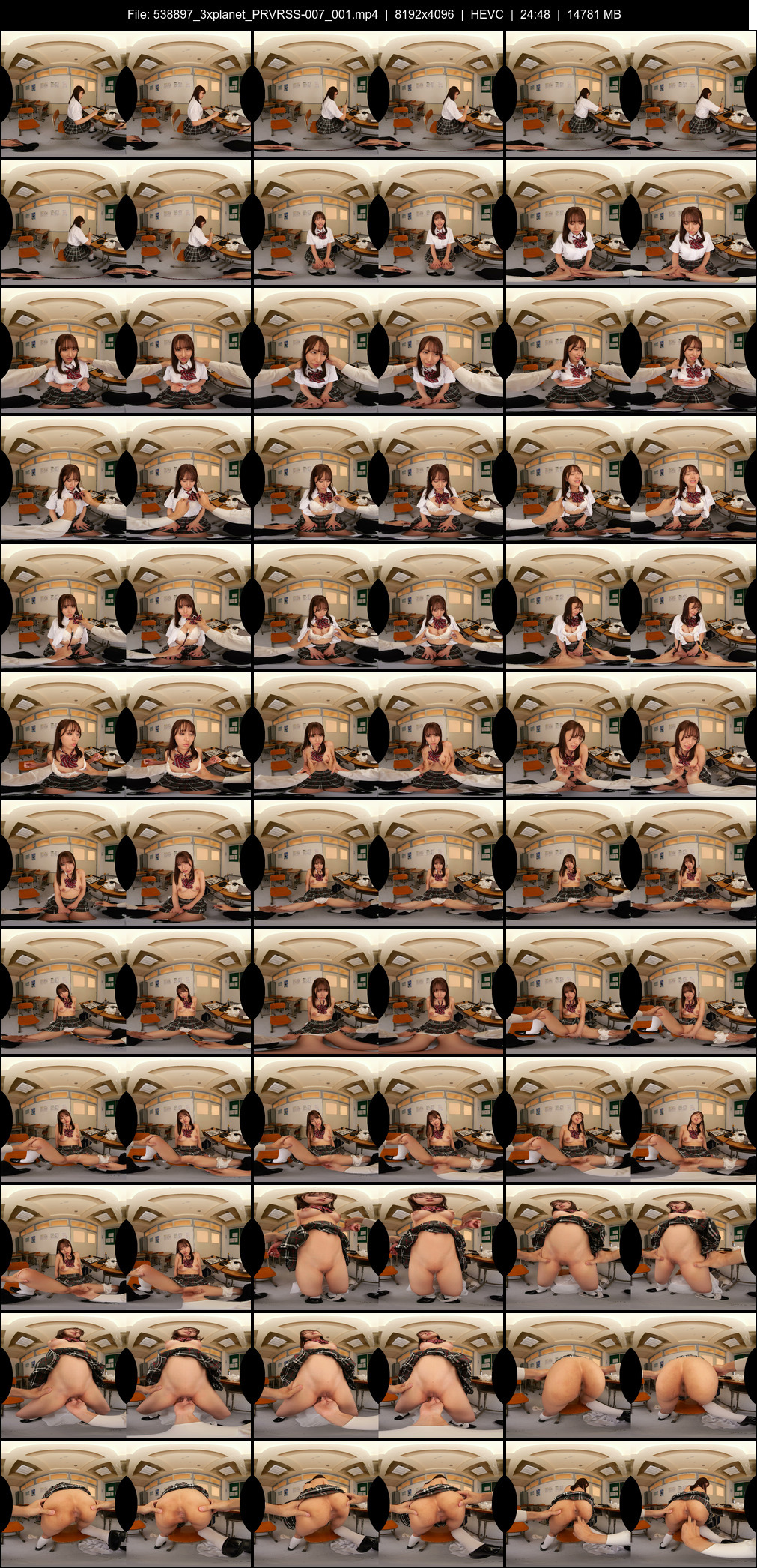 PRVRSS-007_001 screens previewer