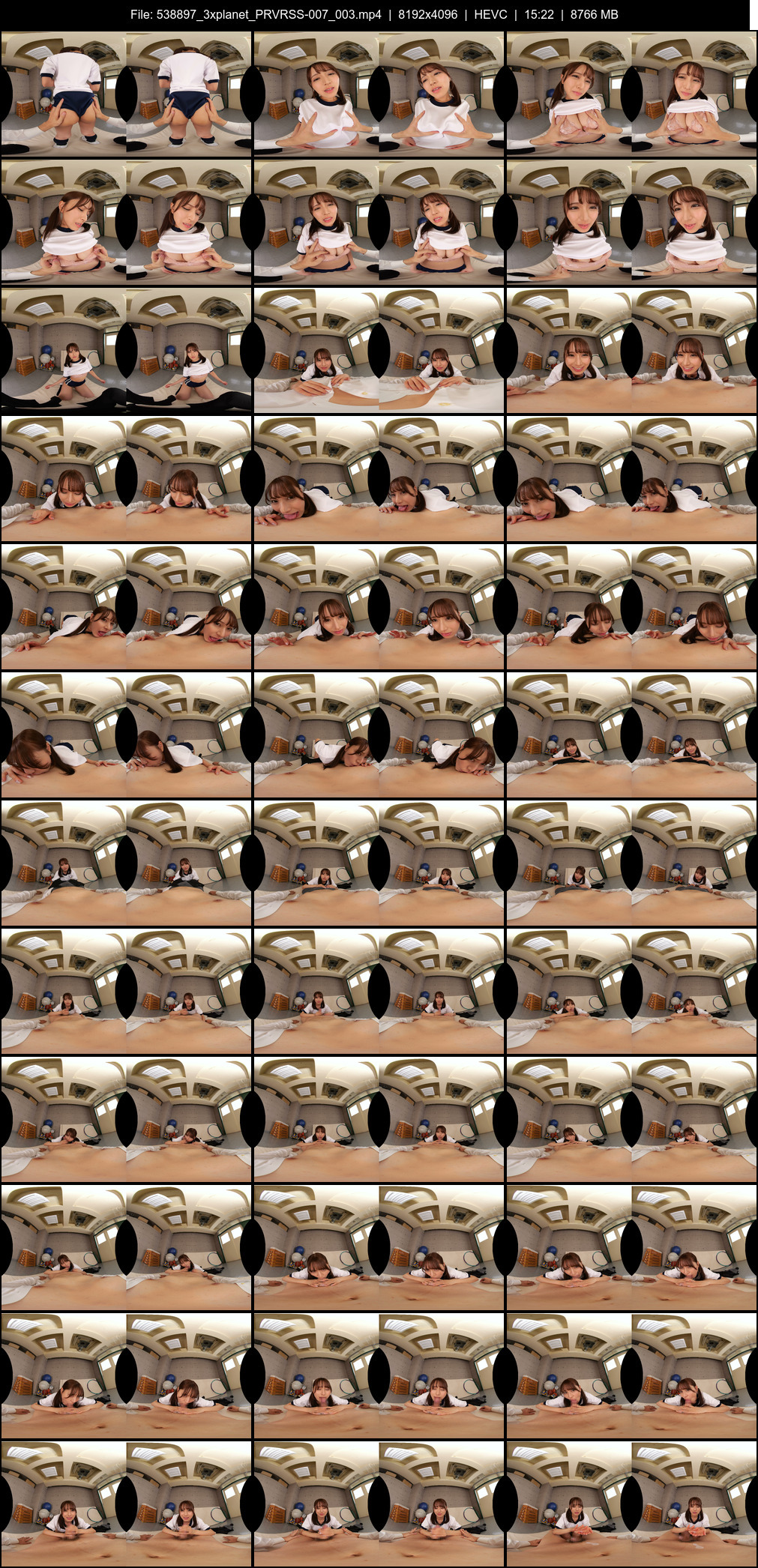 PRVRSS-007_003 screens previewer