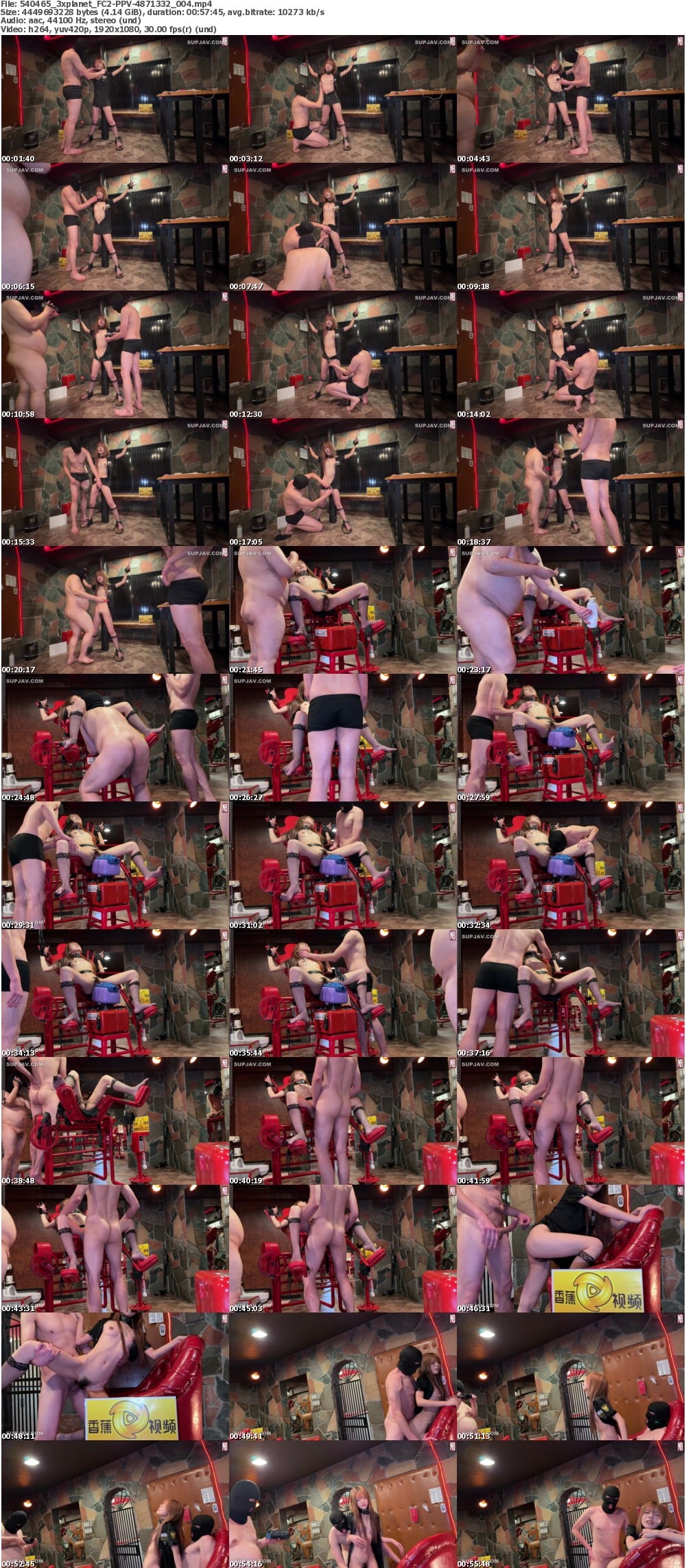 FC2-PPV-4871332_004 screens previewer