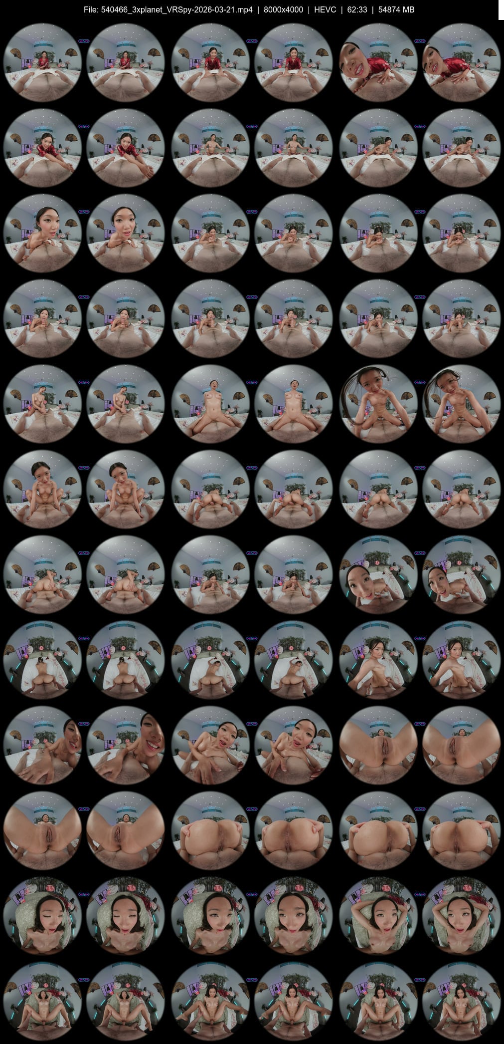 VRSpy-2026-03-21 screens previewer