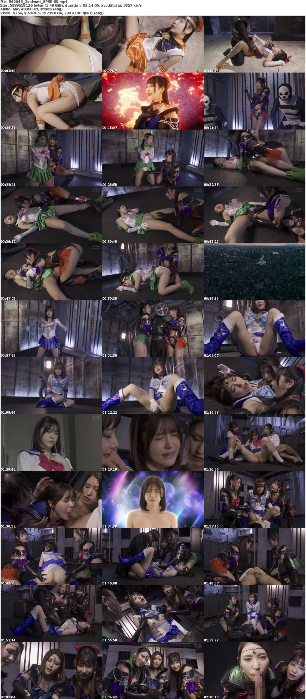 SPSE-89 screens previewer