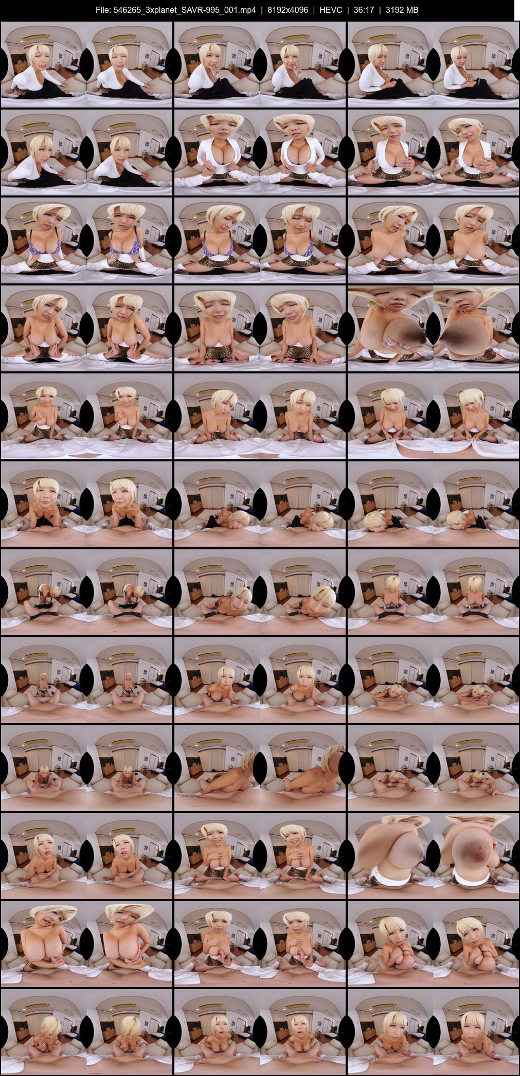 SAVR-995 screens previewer