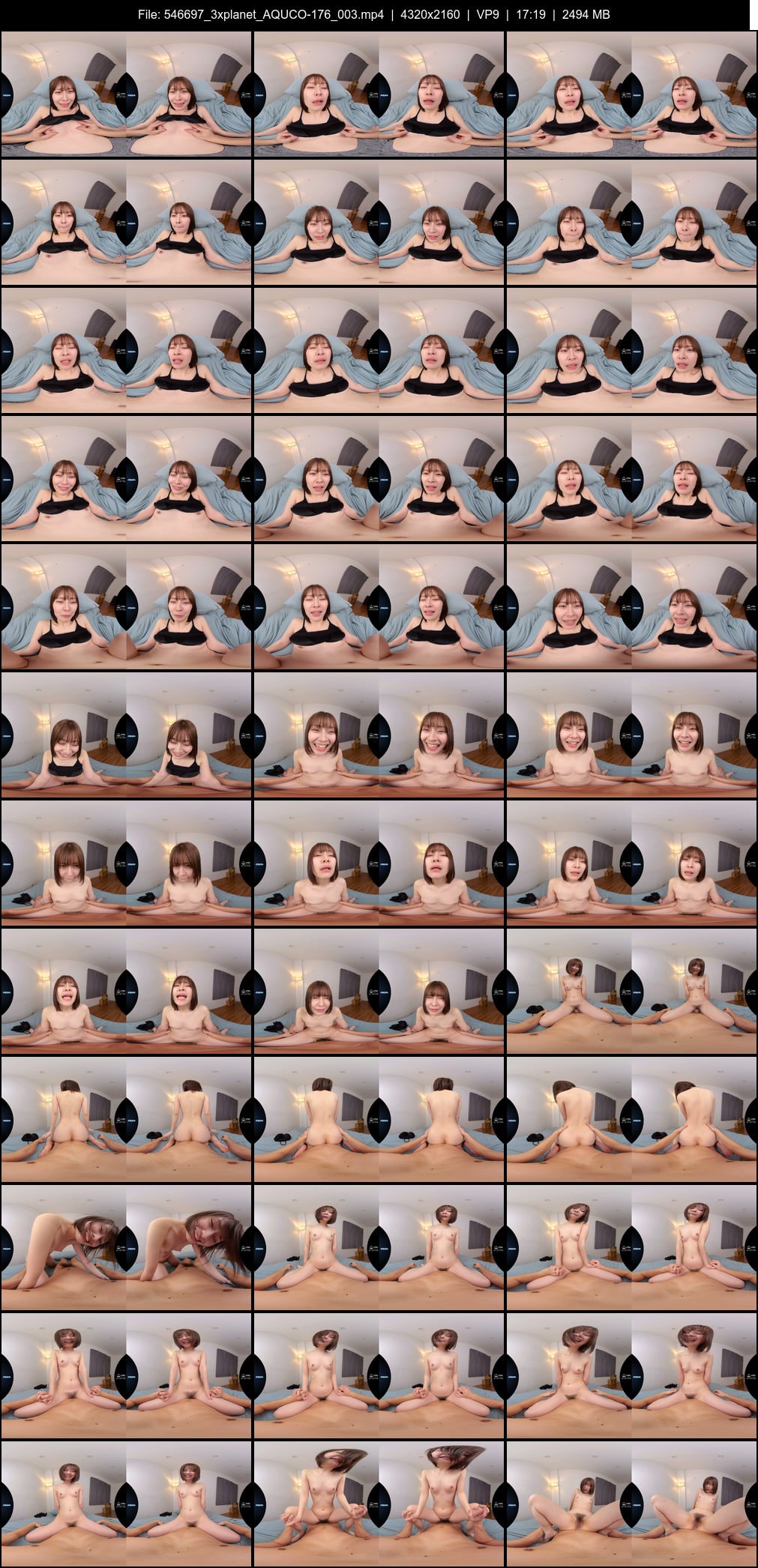 AQUCO-176 screens previewer