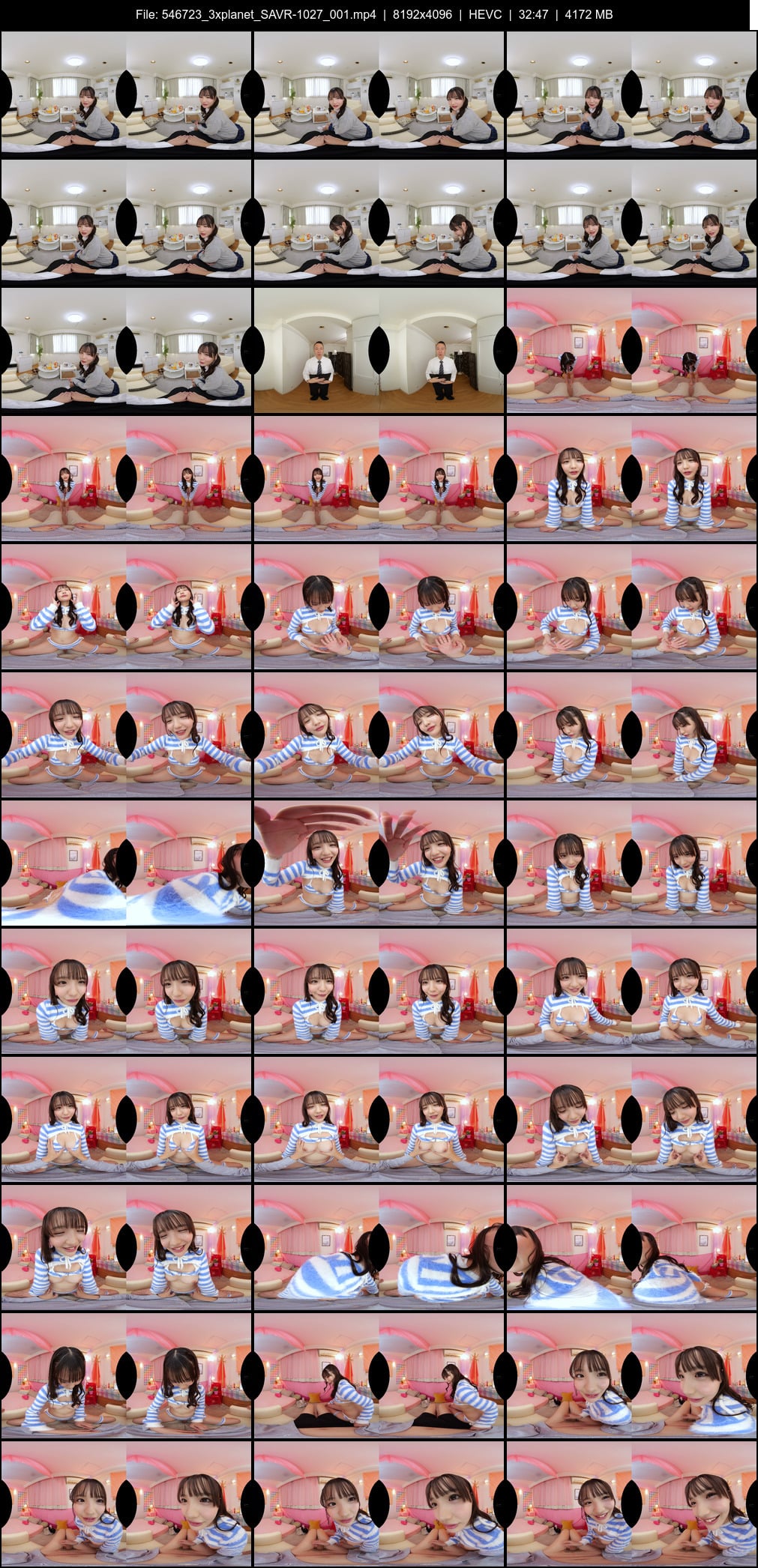 SAVR-1027 screens previewer