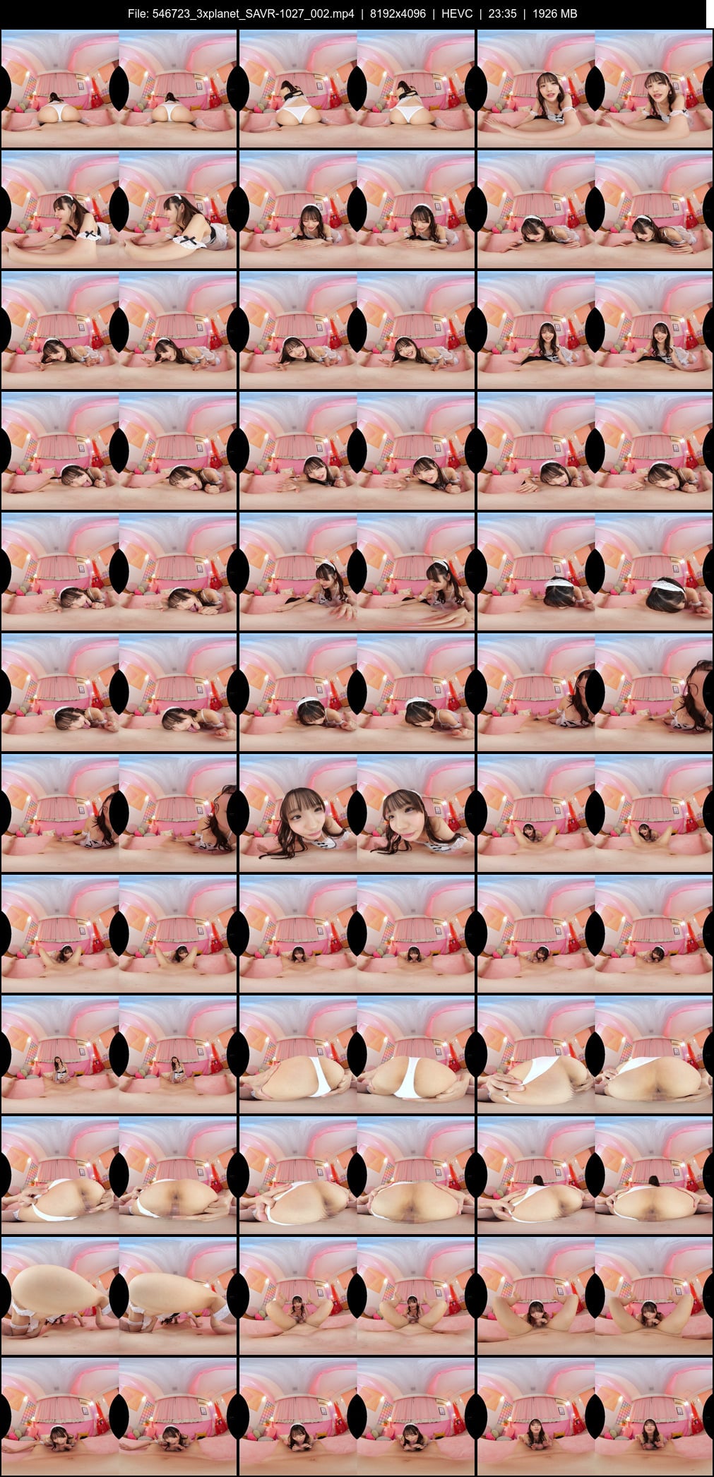 SAVR-1027 screens previewer