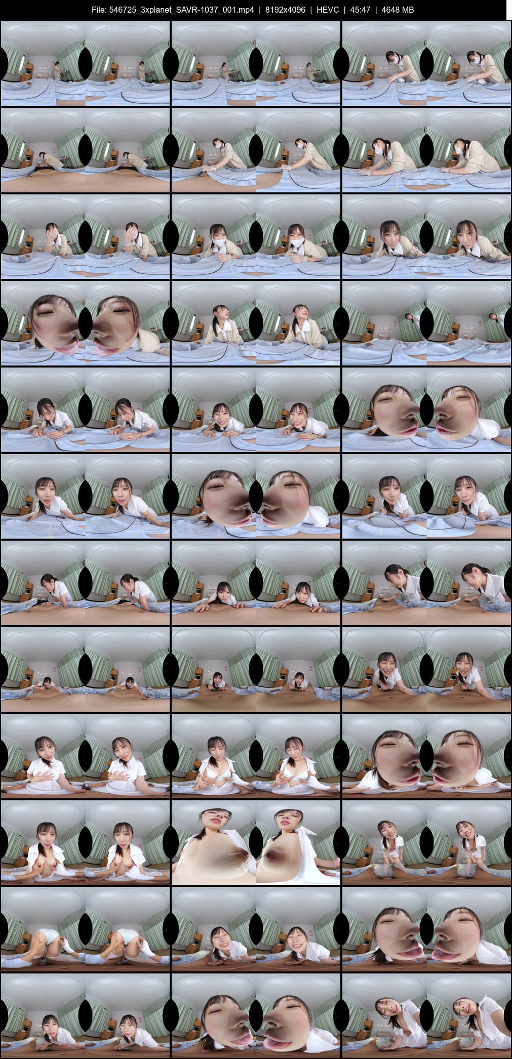 SAVR-1037 screens previewer