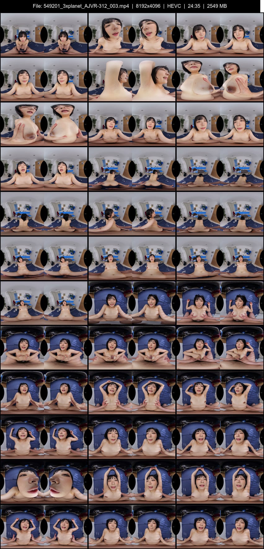 AJVR-312 screens previewer