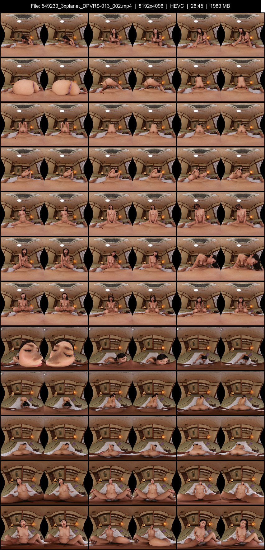 DPVRS-013 screens previewer