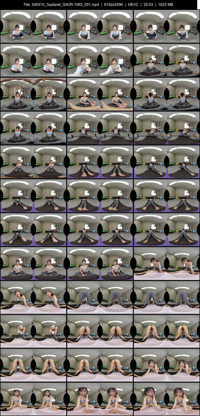 SAVR-1063 screens previewer