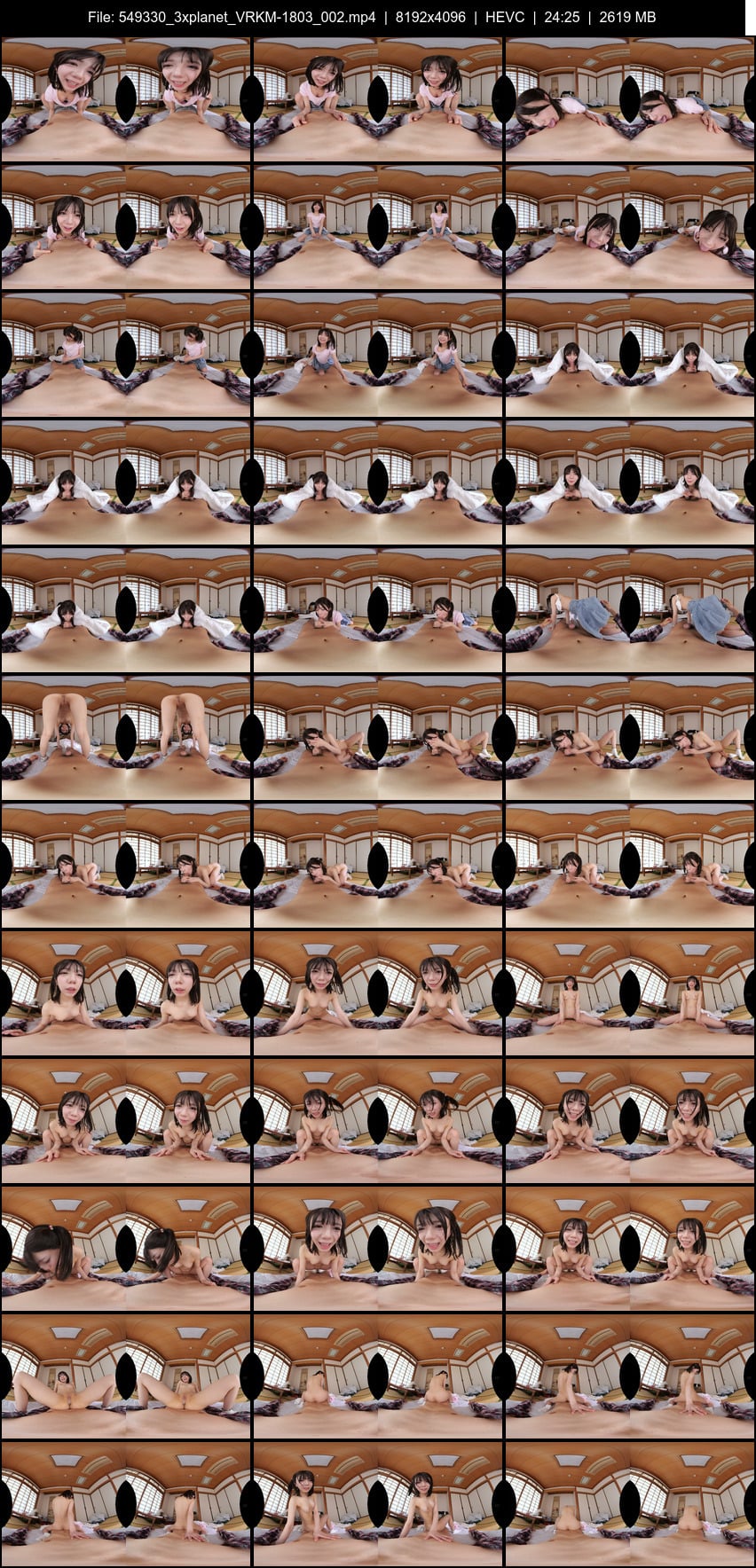 VRKM-1803 screens previewer