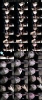 LAXD-1096402-1128597 amateur