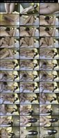 LAXD-1127475-1140252 amateur