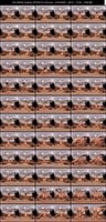 DPVRS-013 伊織涼子