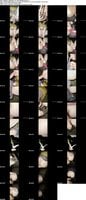 FC2-PPV-4895351 amateur
