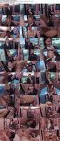 DVMM-386 amateur