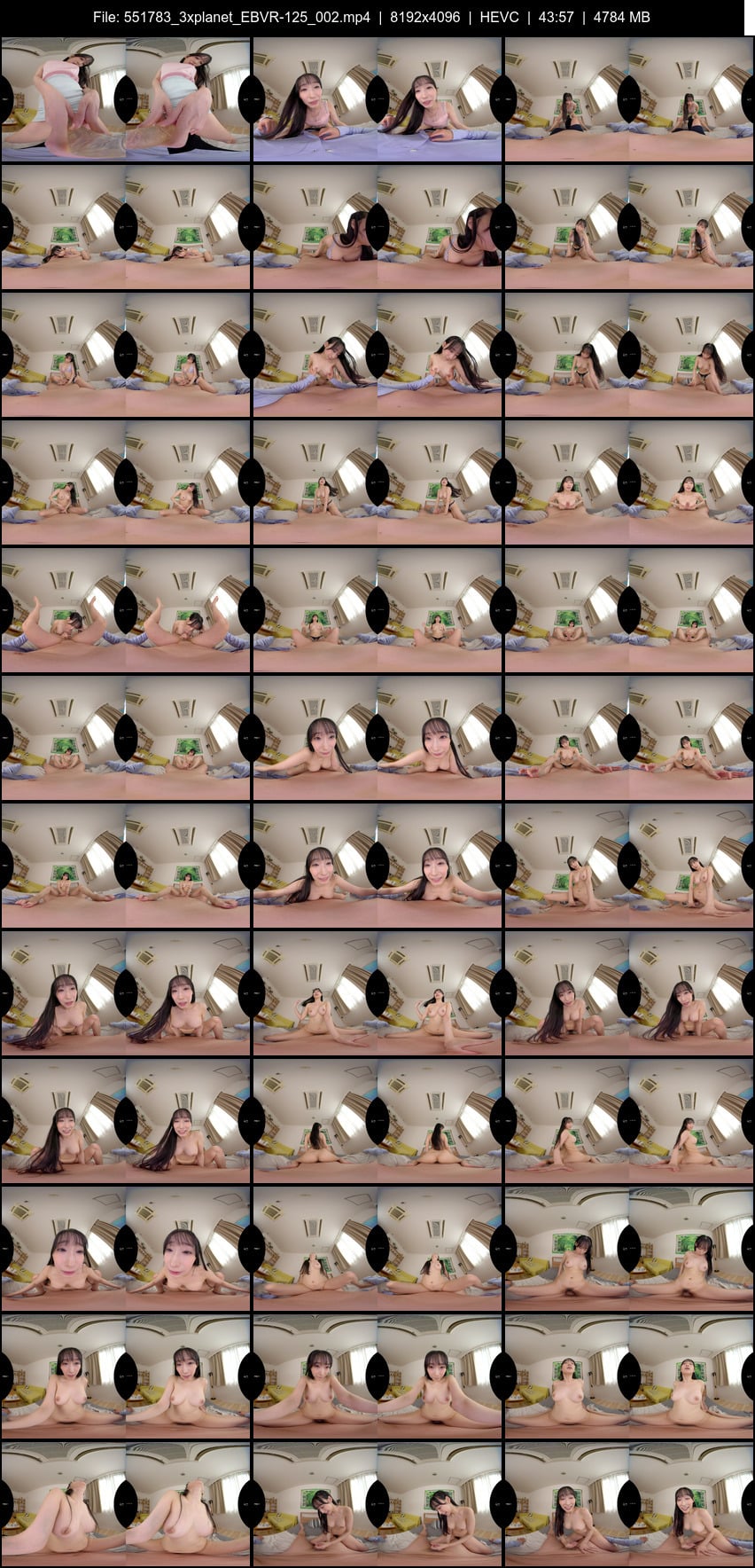 EBVR-125 screens previewer