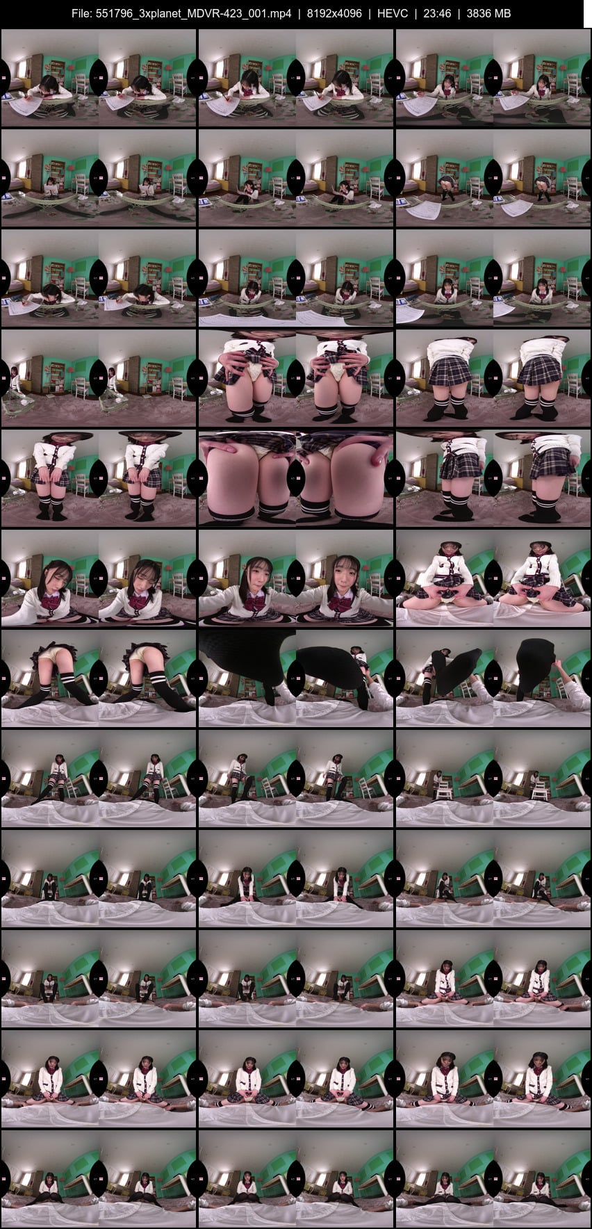 MDVR-423 screens previewer
