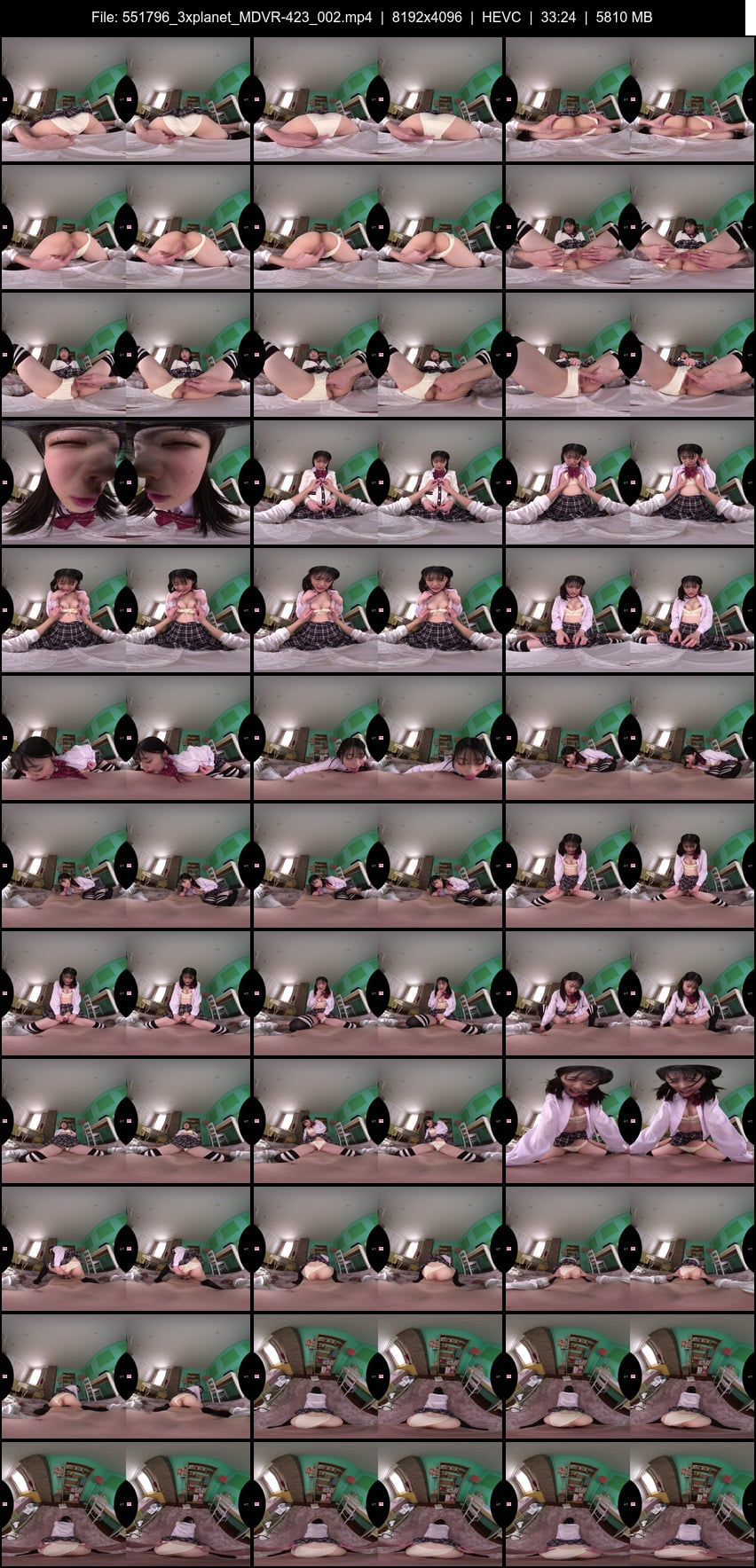 MDVR-423 screens previewer