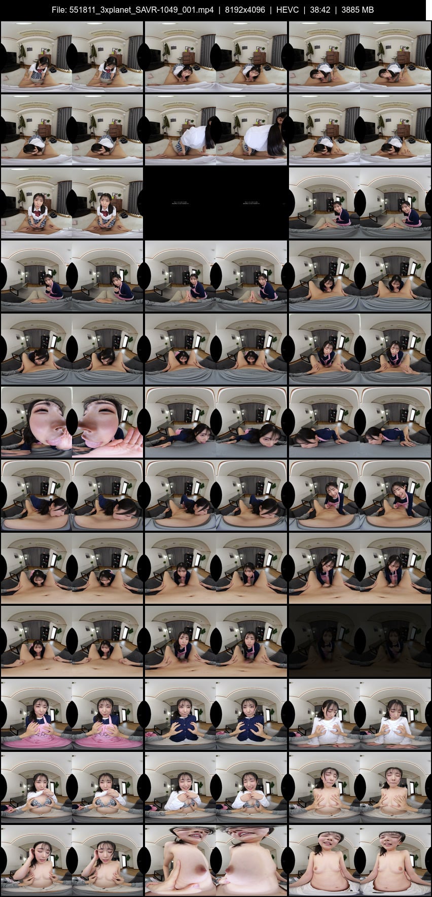 SAVR-1049 screens previewer