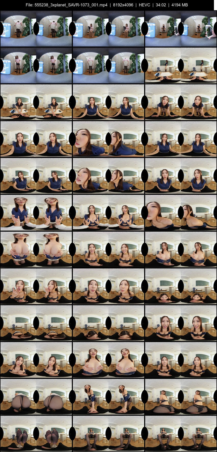 SAVR-1073 screens previewer