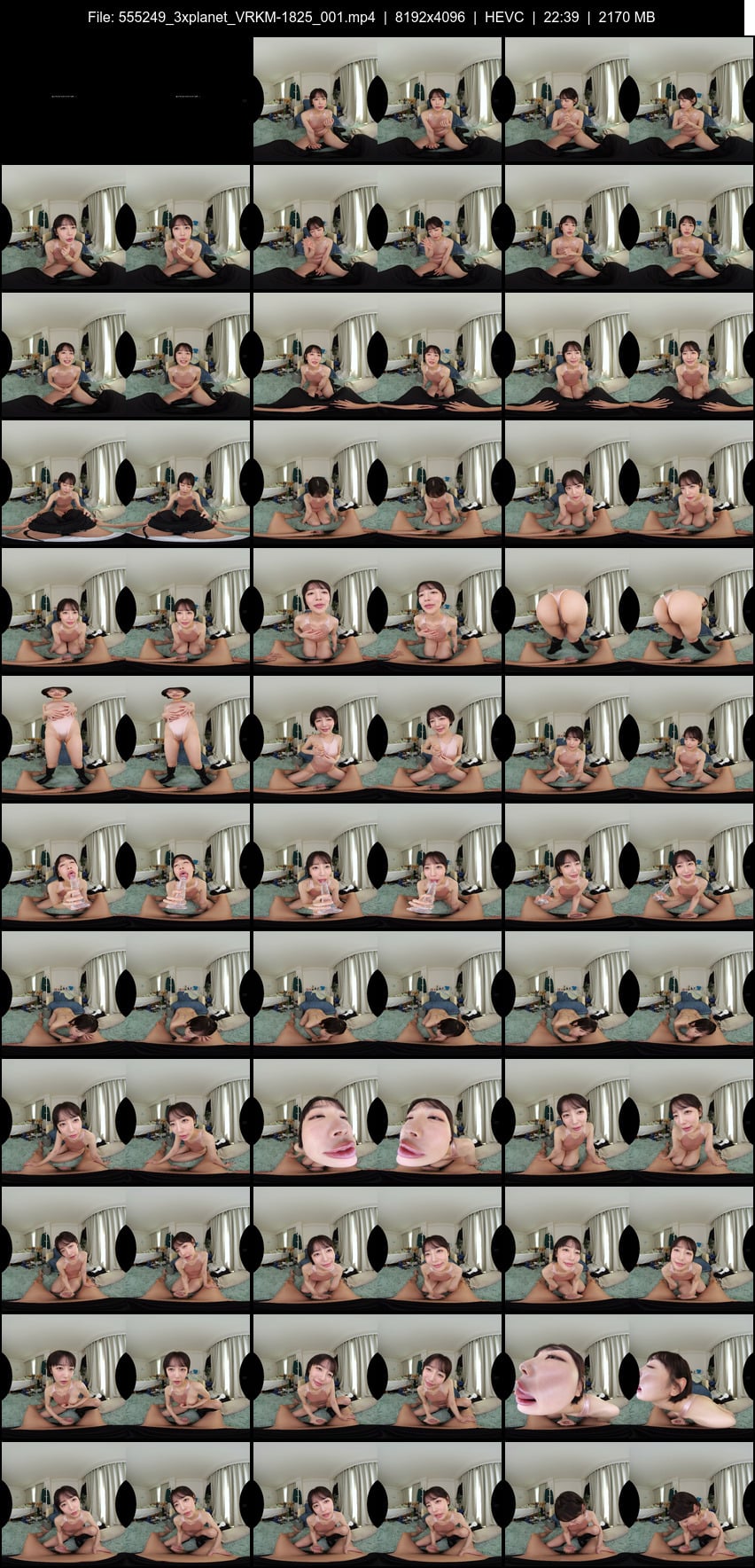 VRKM-1825 screens previewer