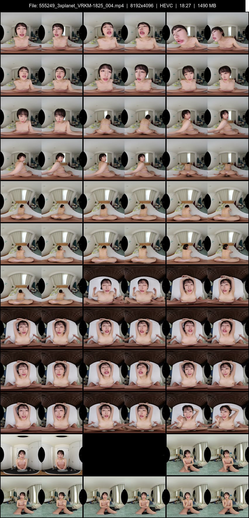VRKM-1825 screens previewer