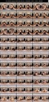 SAVR-1084 amateur
