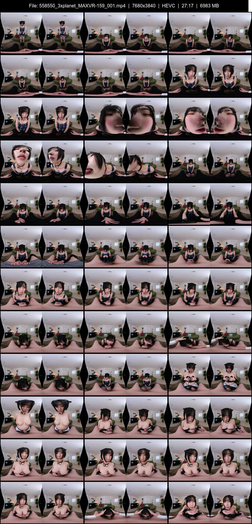 MAXVR-159 screens previewer