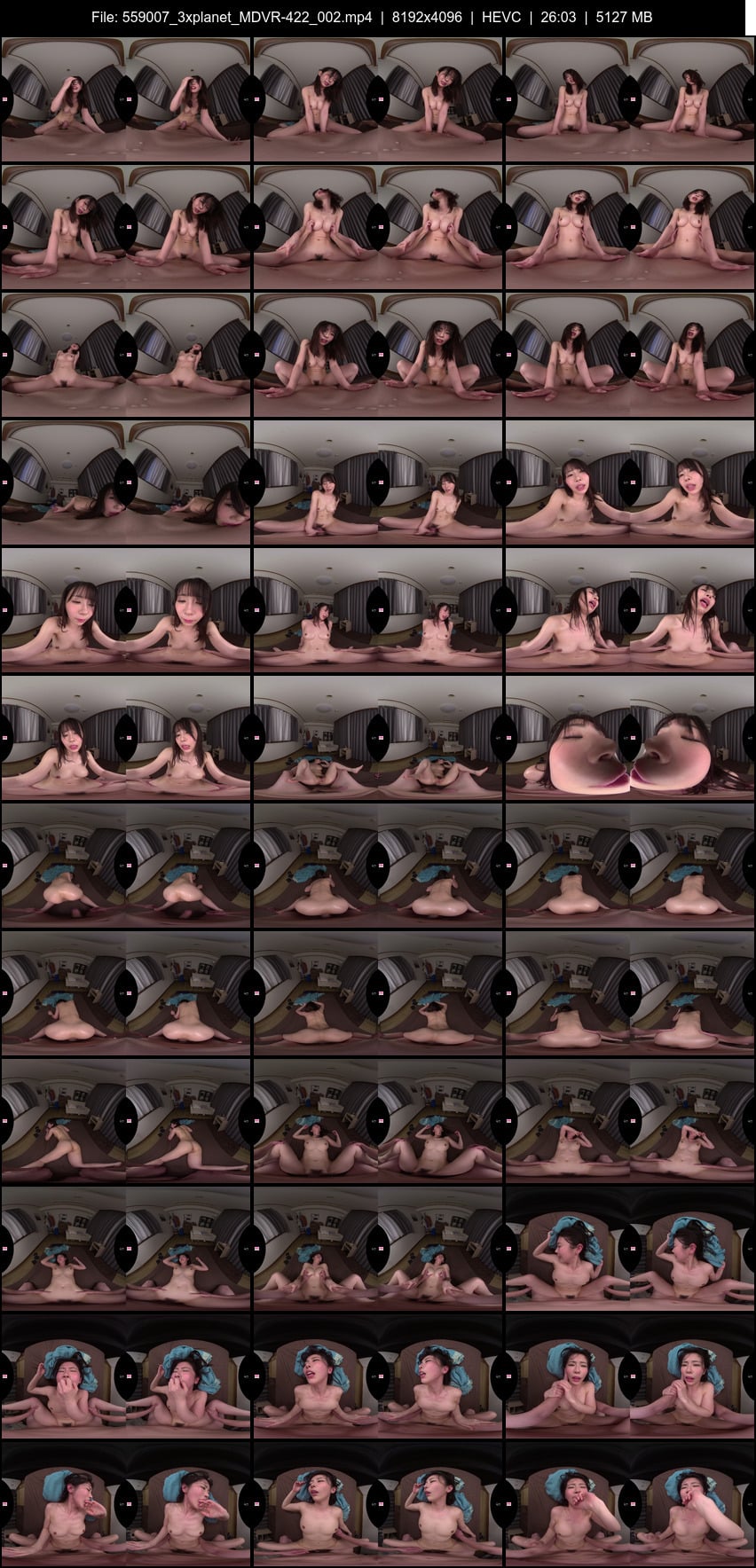 MDVR-422 screens previewer