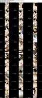 FC2-PPV-4920245 amateur