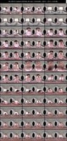 SIVR-494 紫堂るい