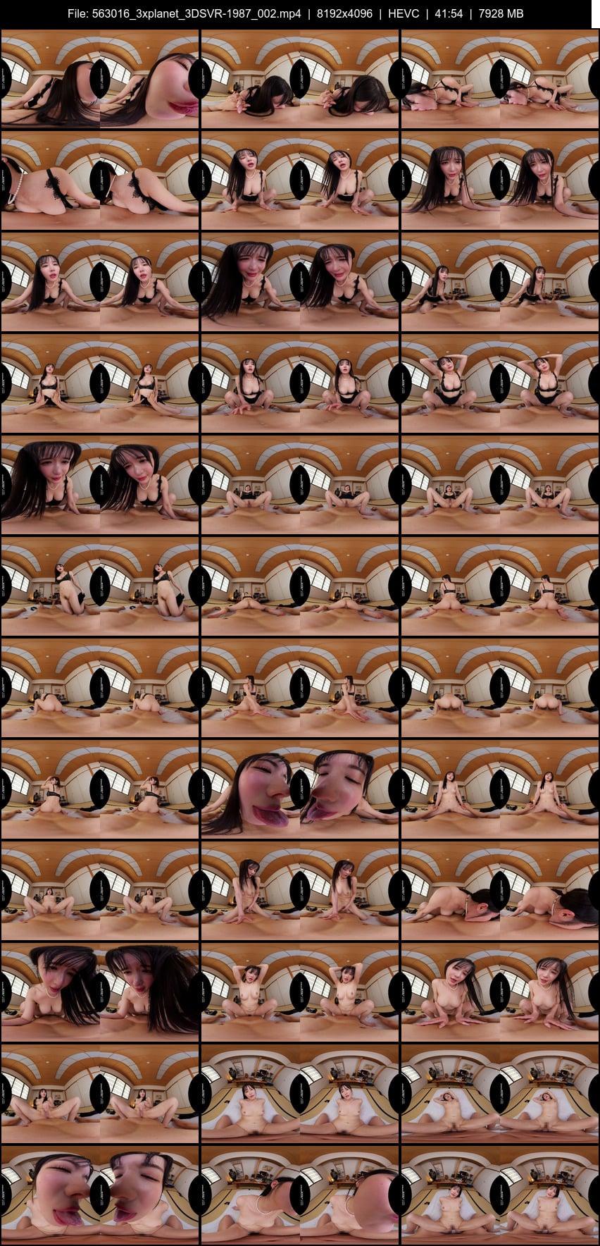 3DSVR-1987 screens previewer