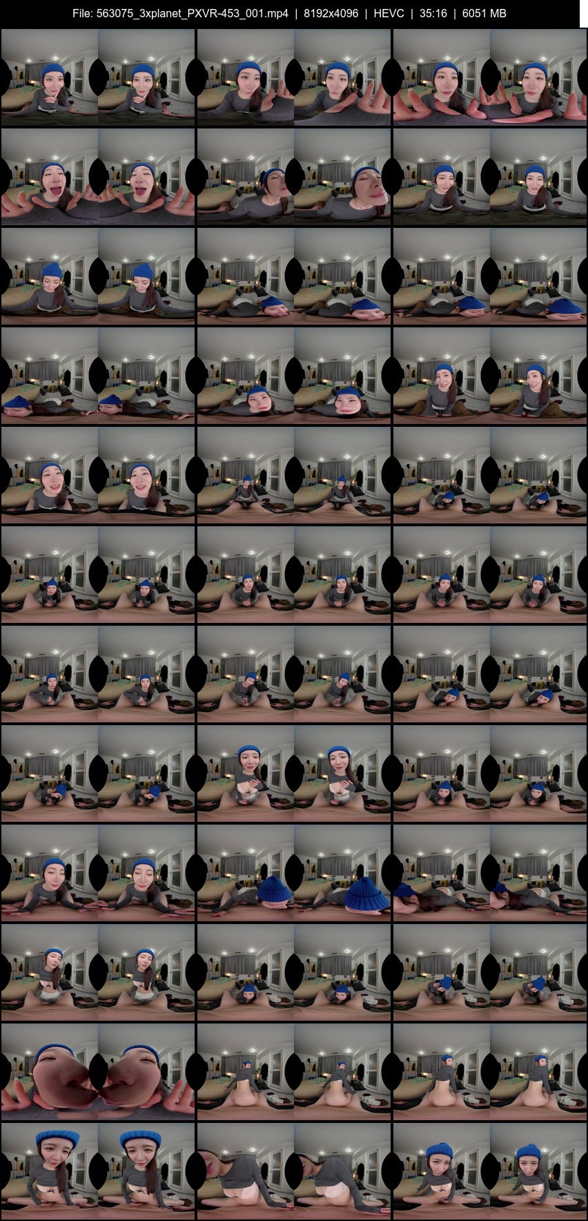 PXVR-453 screens previewer