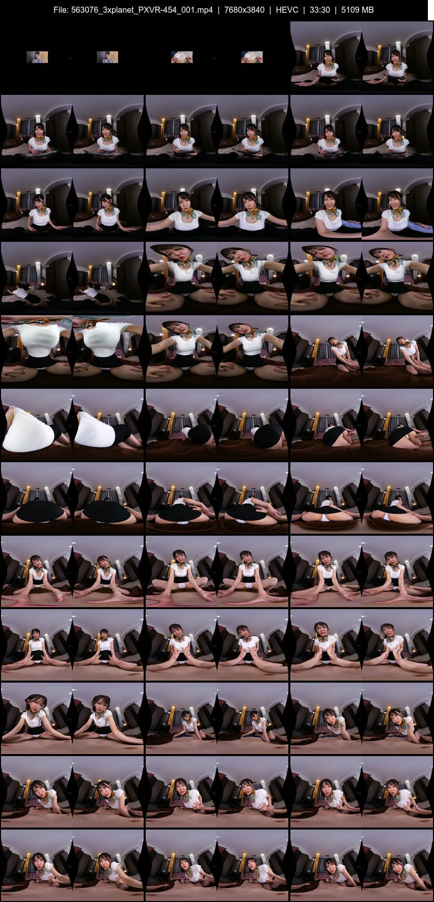PXVR-454 screens previewer