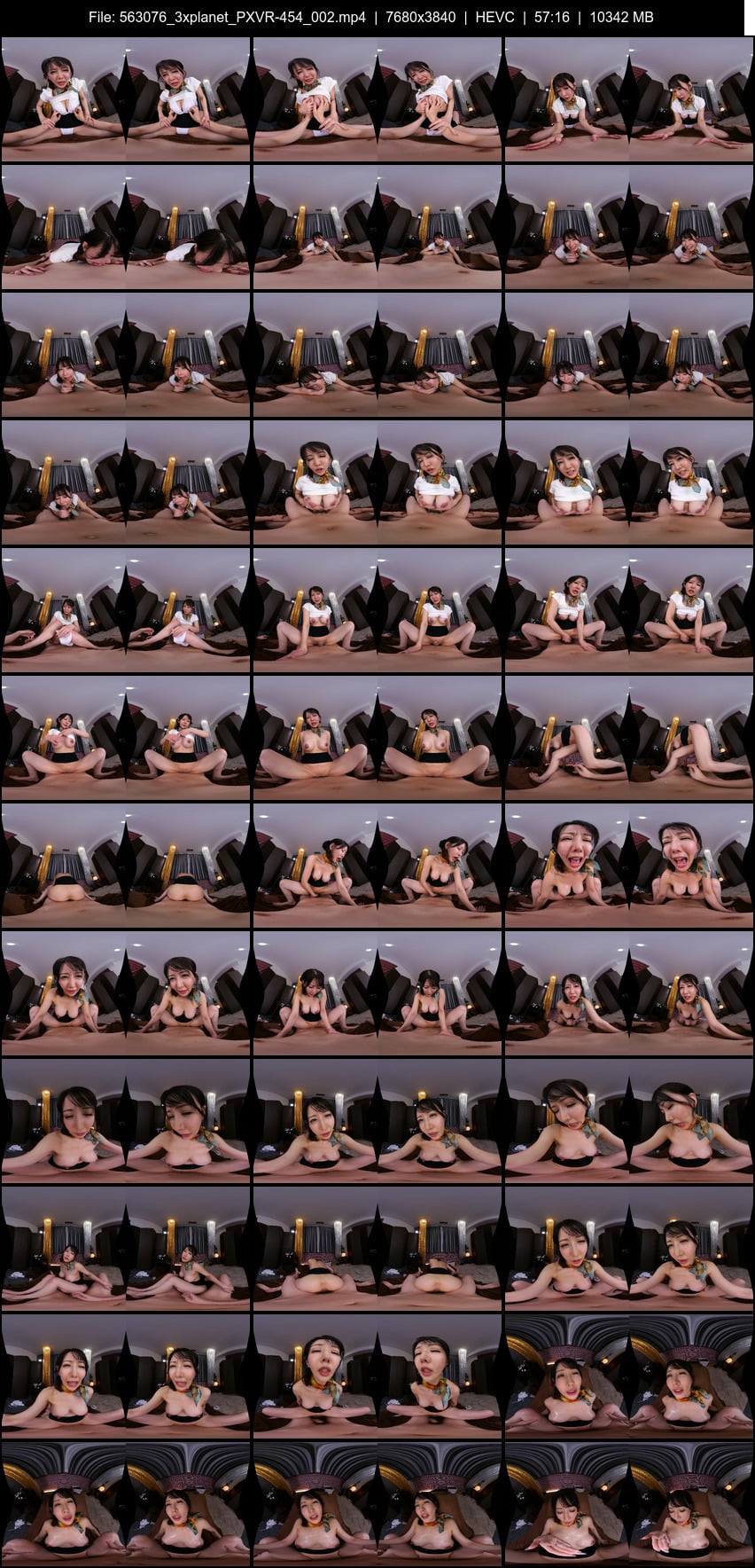 PXVR-454 screens previewer