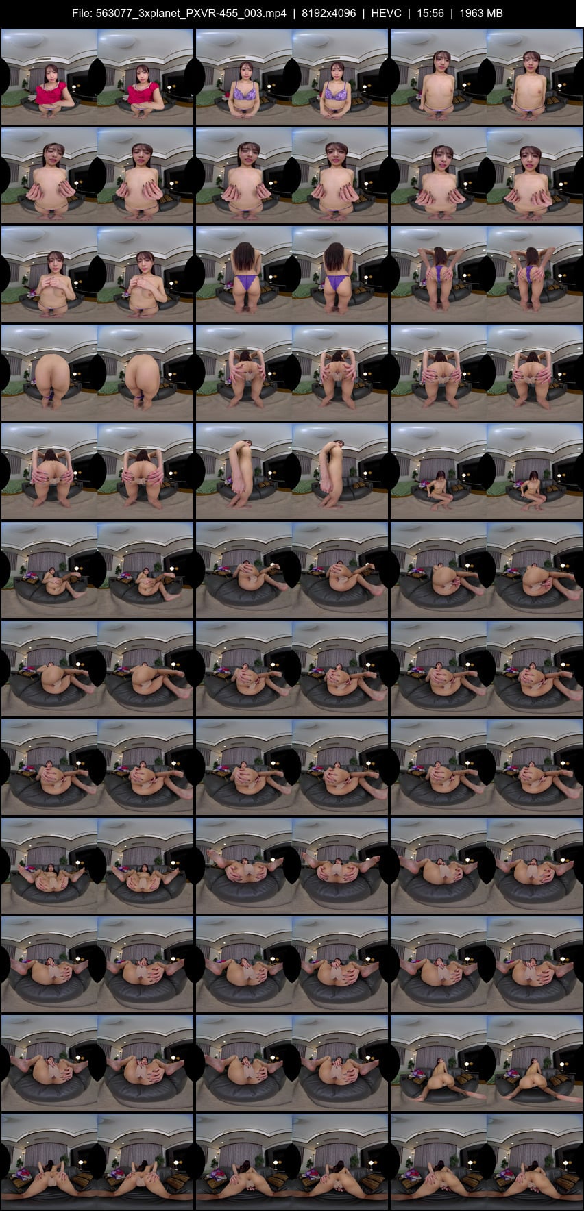 PXVR-455 screens previewer