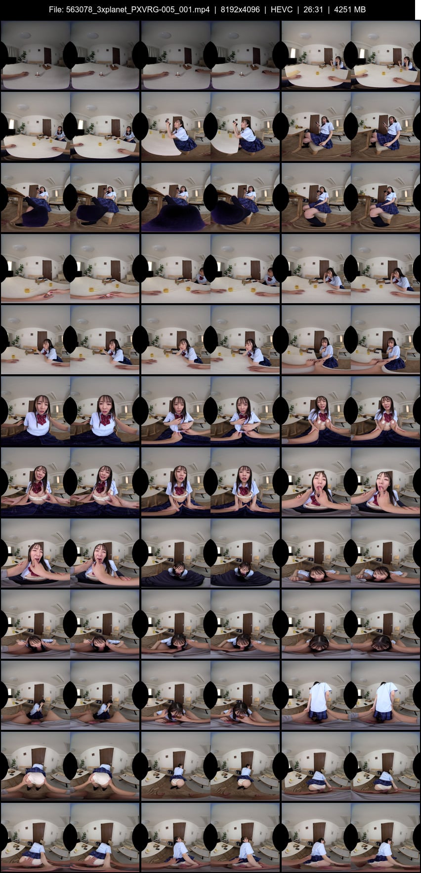 PXVRG-005 screens previewer