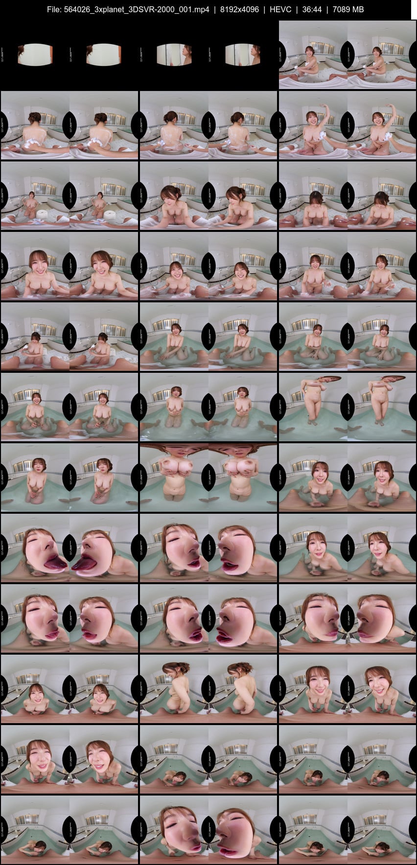 3DSVR-2000 screens previewer