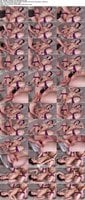 AV-3893230246 amateur