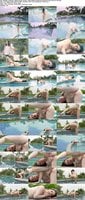 Digital-Desire-Jenna-J-Ross-Beauty-pleasures-herself-in-the-2026-07-08 Jenna J Ross