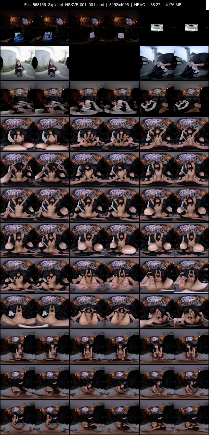 HSKVR-001 screens previewer
