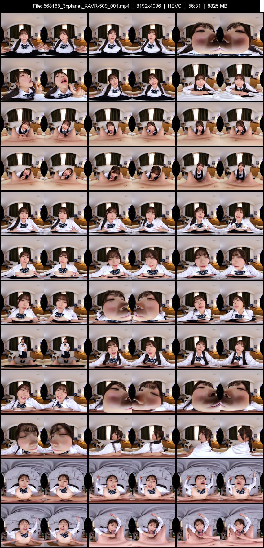 KAVR-509 screens previewer