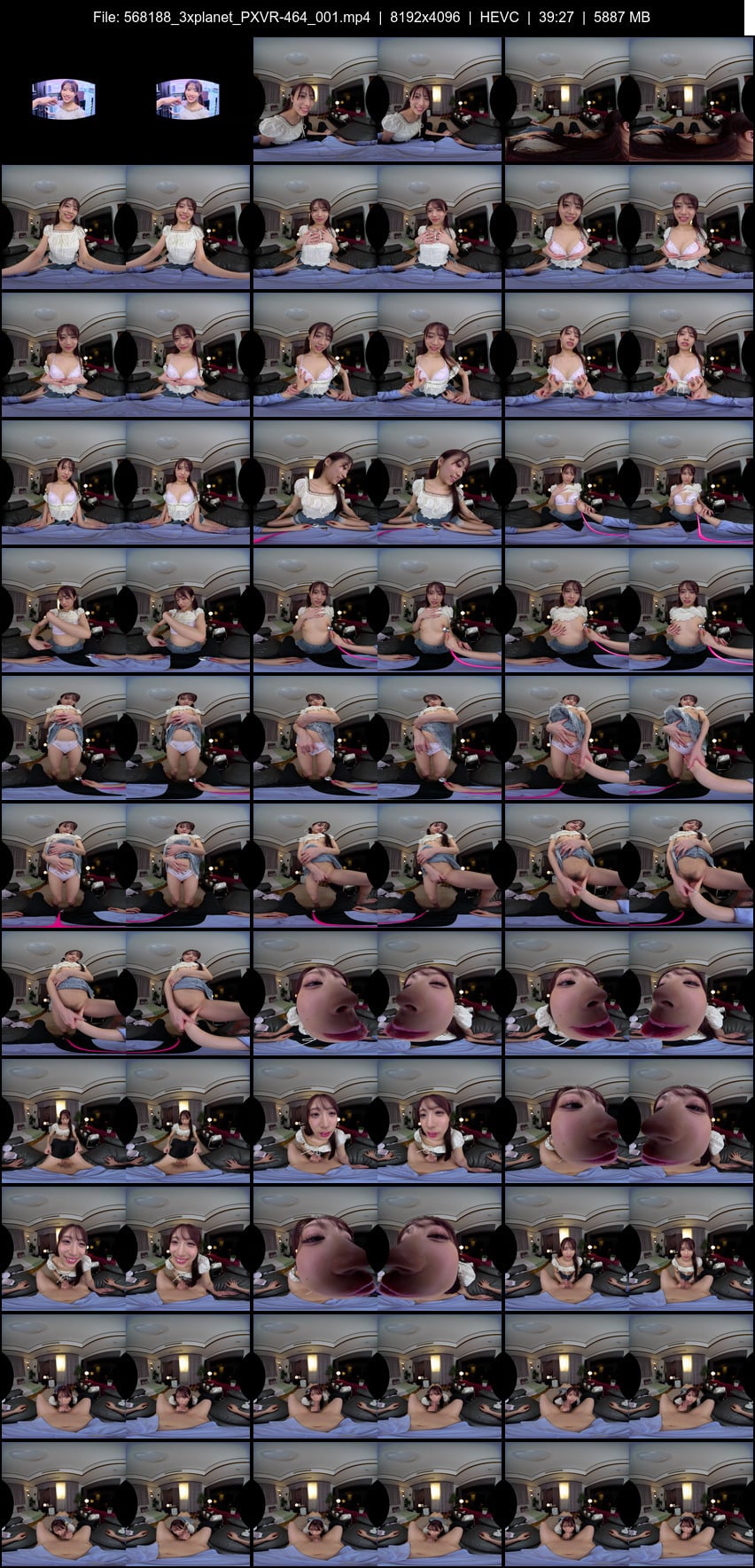PXVR-464 screens previewer
