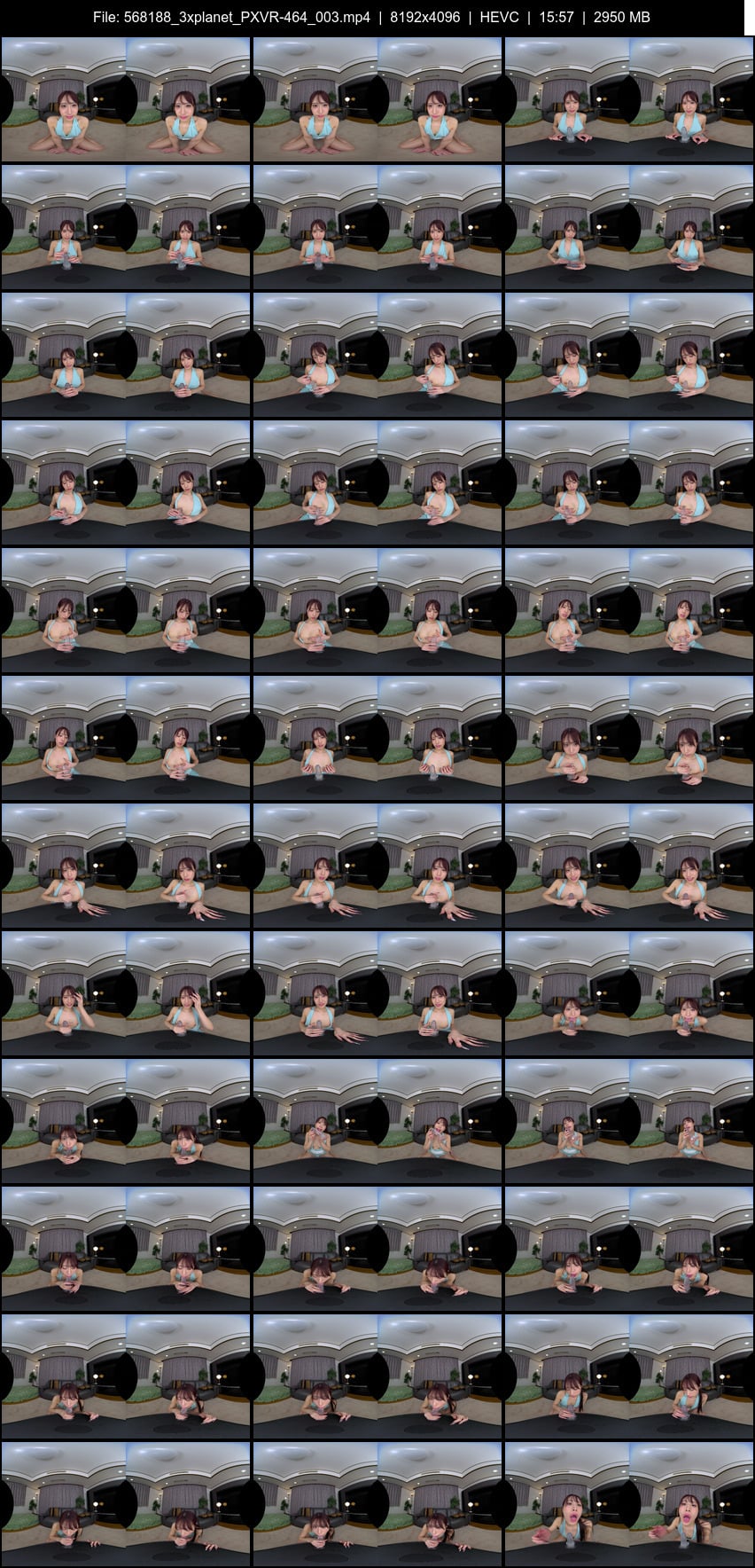 PXVR-464 screens previewer