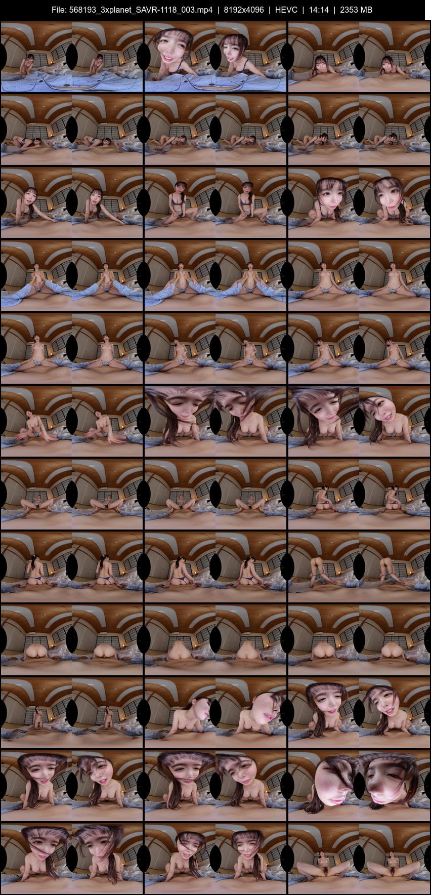 SAVR-1118 screens previewer