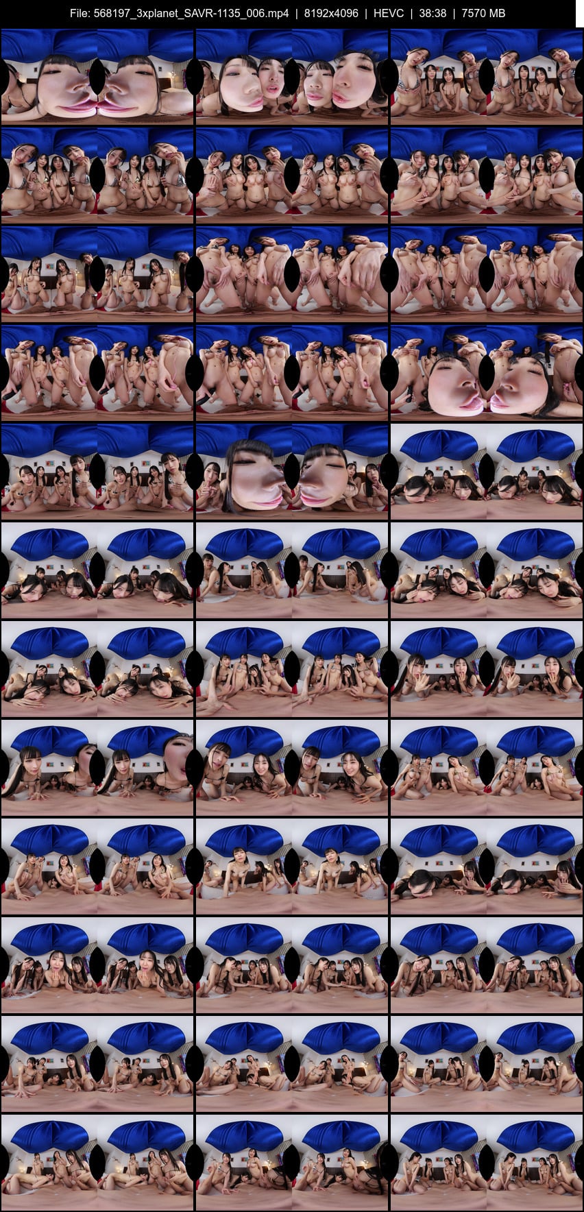 SAVR-1135 screens previewer