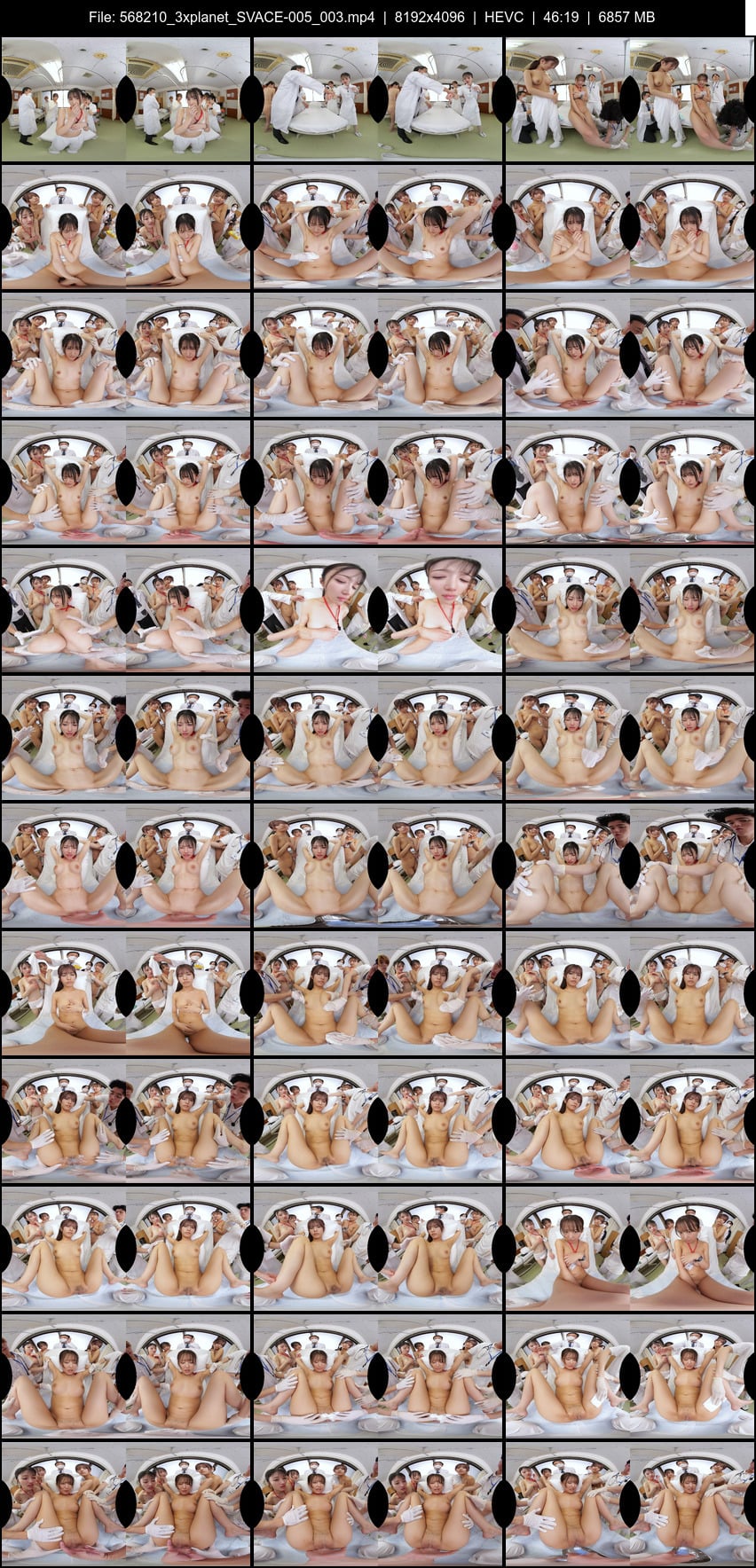 SVACE-005 screens previewer