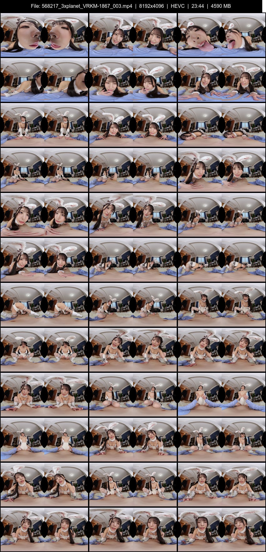 VRKM-1867 screens previewer