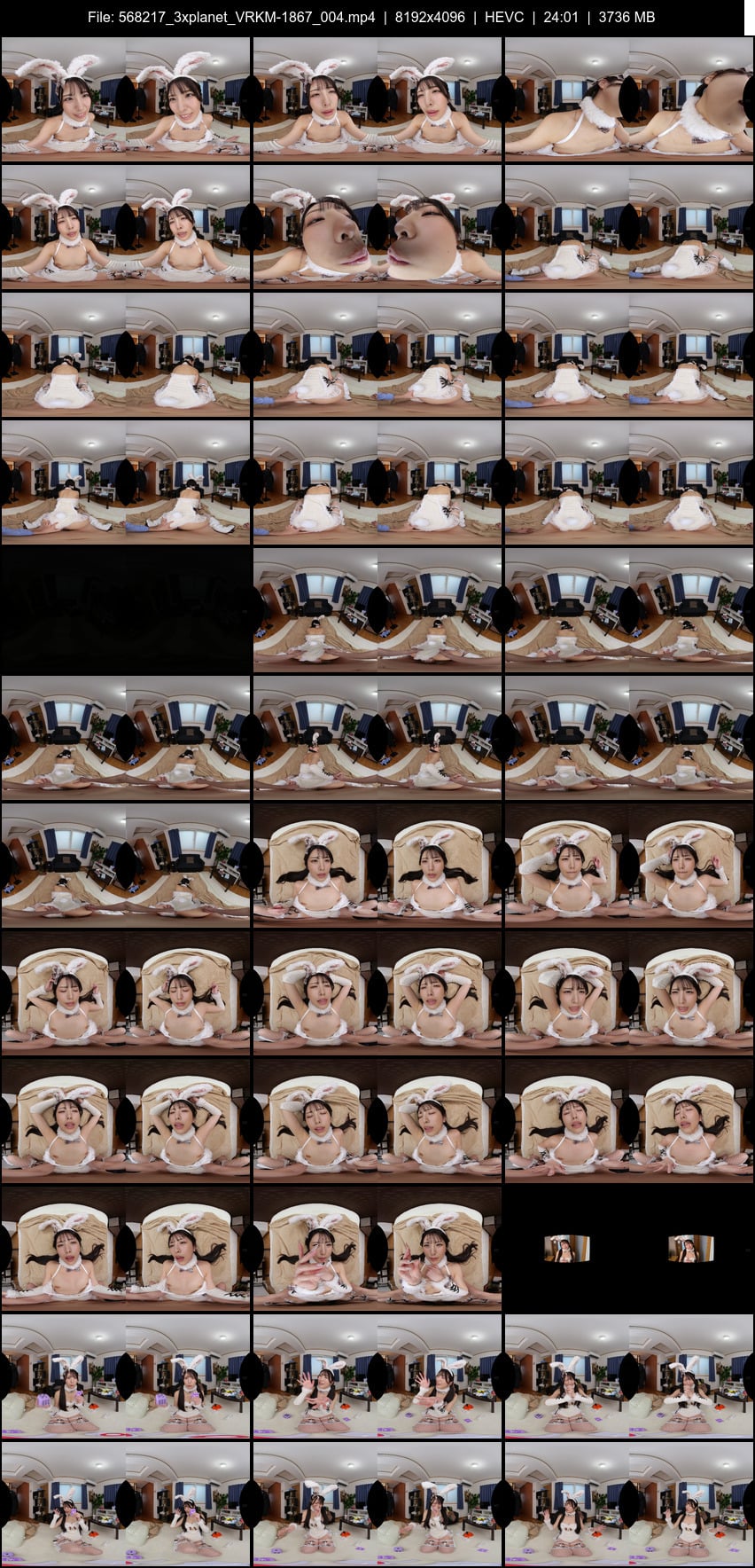 VRKM-1867 screens previewer