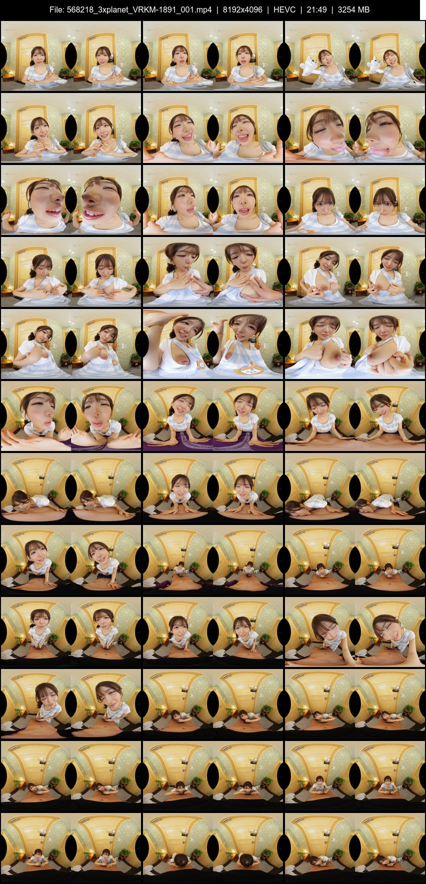 VRKM-1891 screens previewer